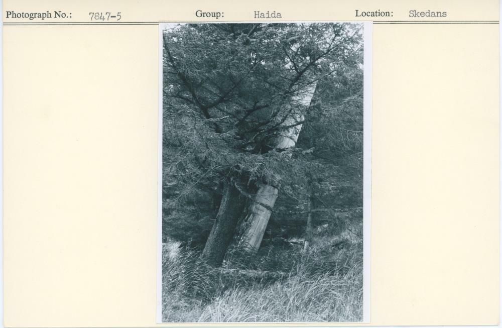 Image representing photograph.