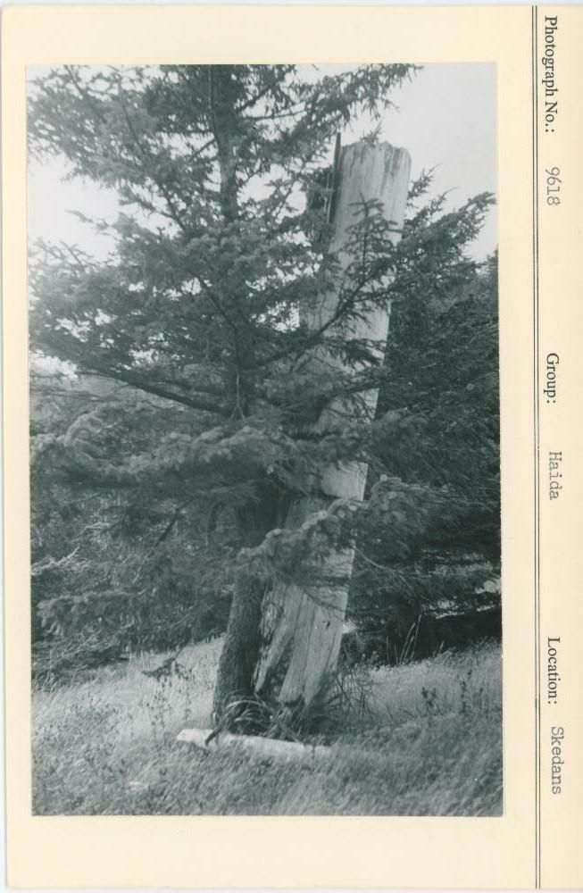 Image representing photograph.