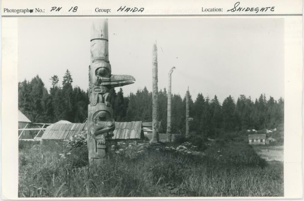 Image representing photograph.