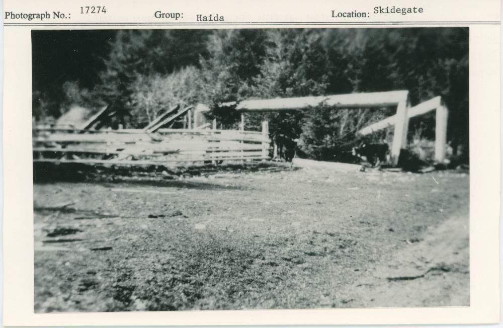 Image representing photograph.