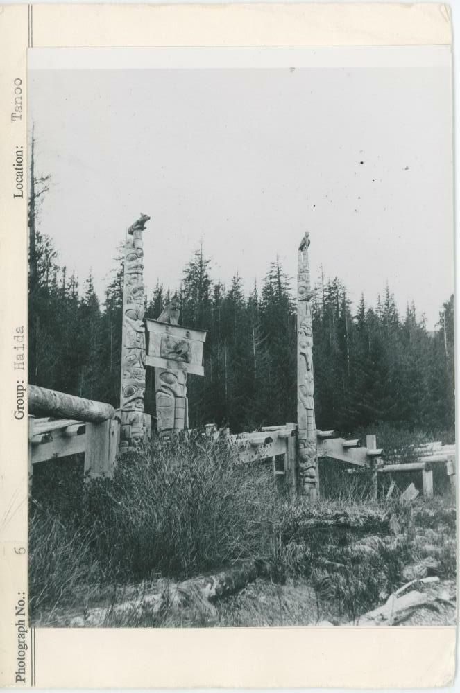 Image representing photograph.