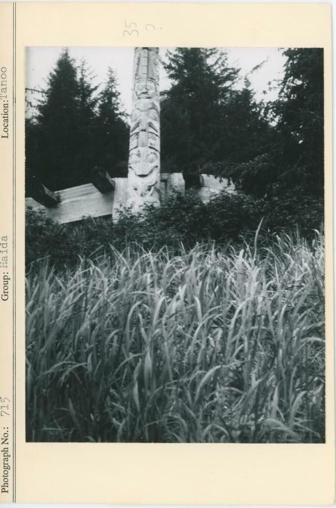 Image representing photograph.