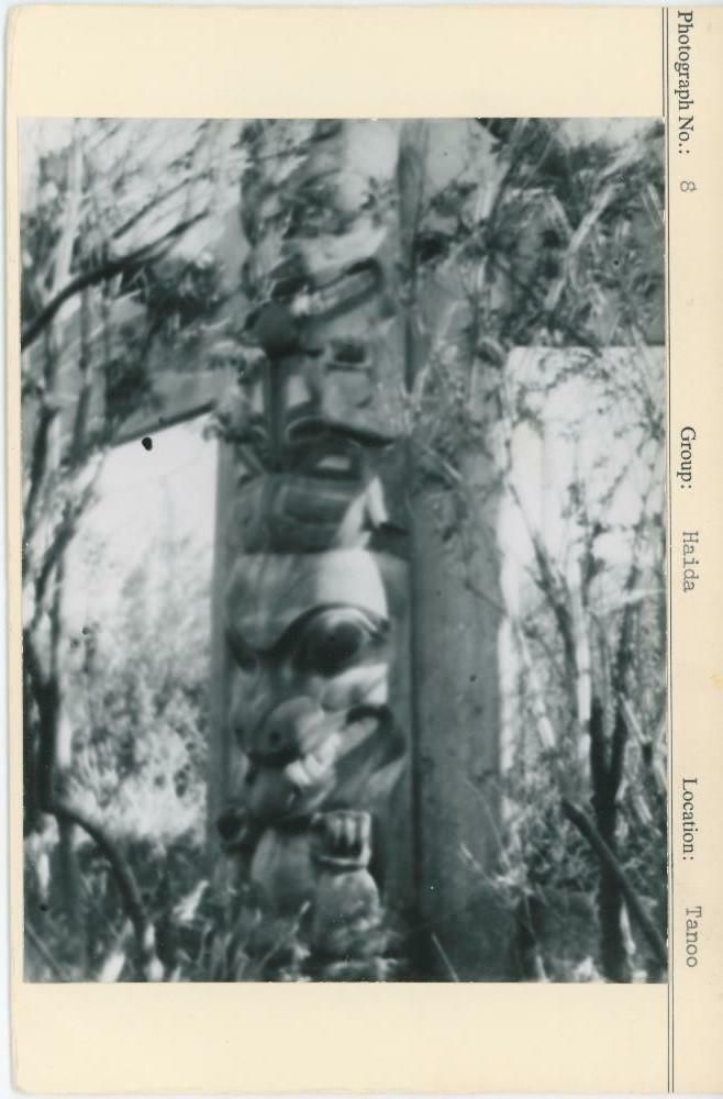 Image representing photograph.