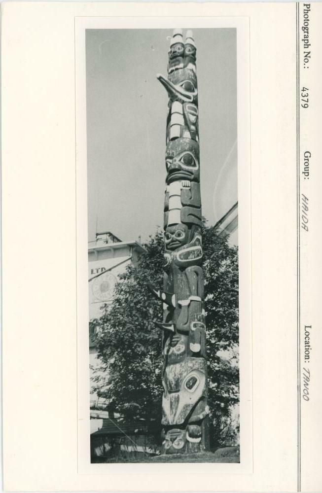 Image representing photograph.