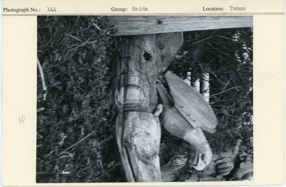 Image representing photograph.