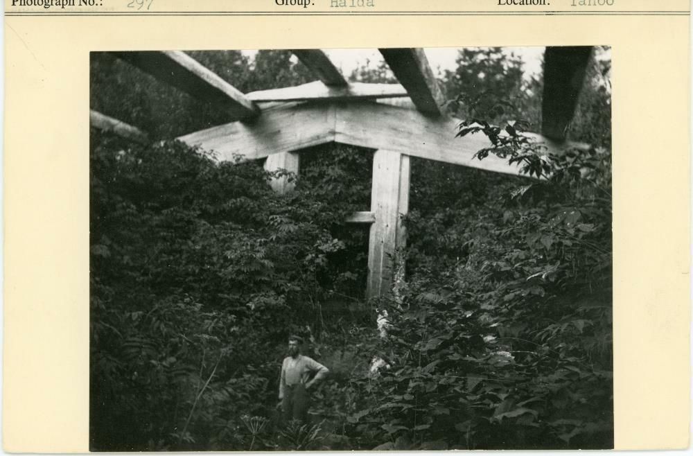 Image représentant photograph