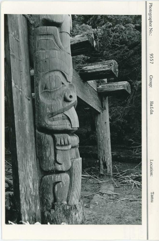 Image representing photograph.