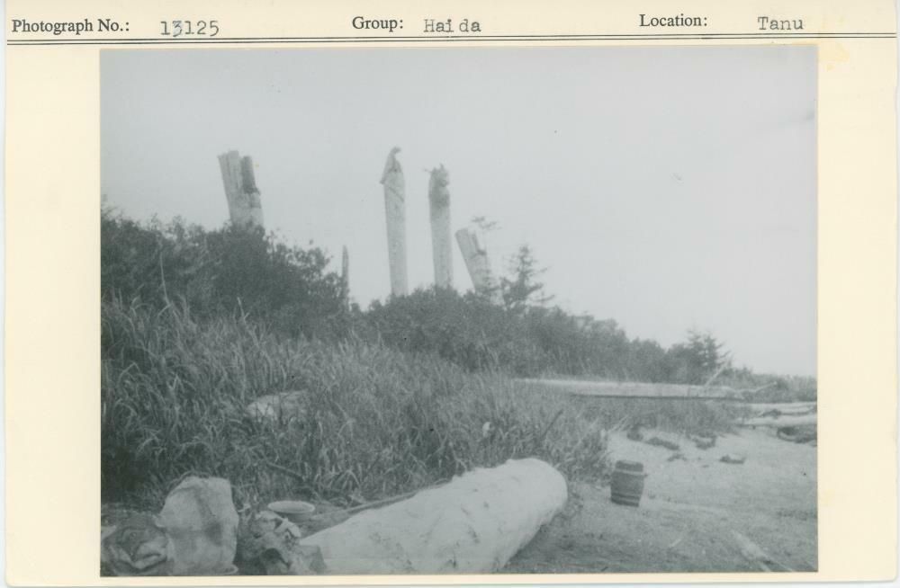 Image representing photograph.