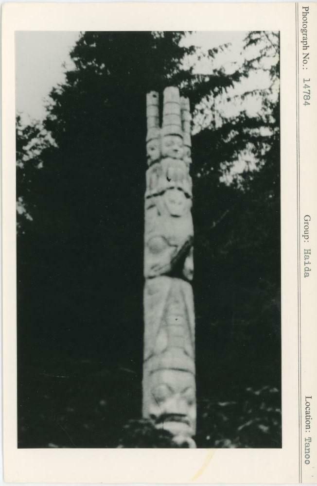 Image representing photograph.