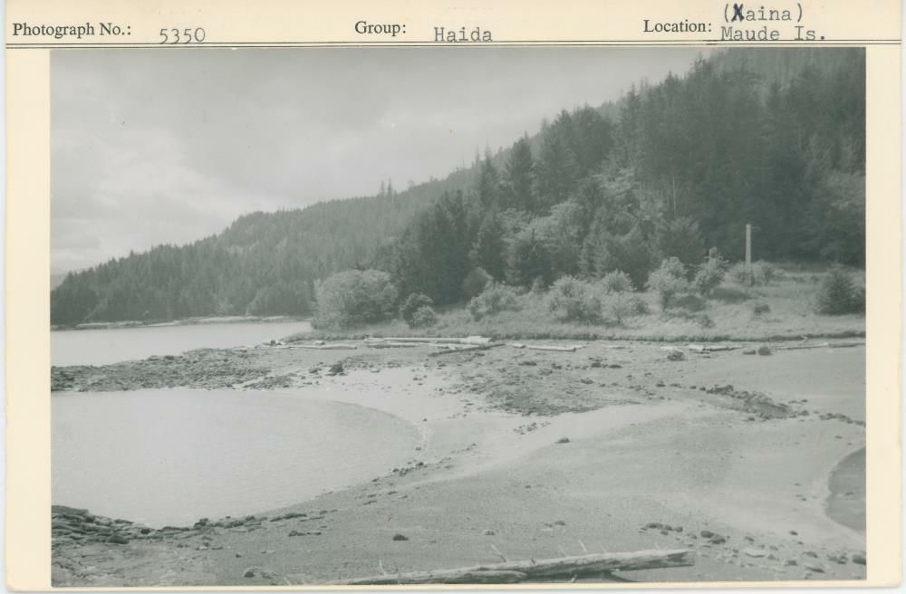 Image representing photograph.