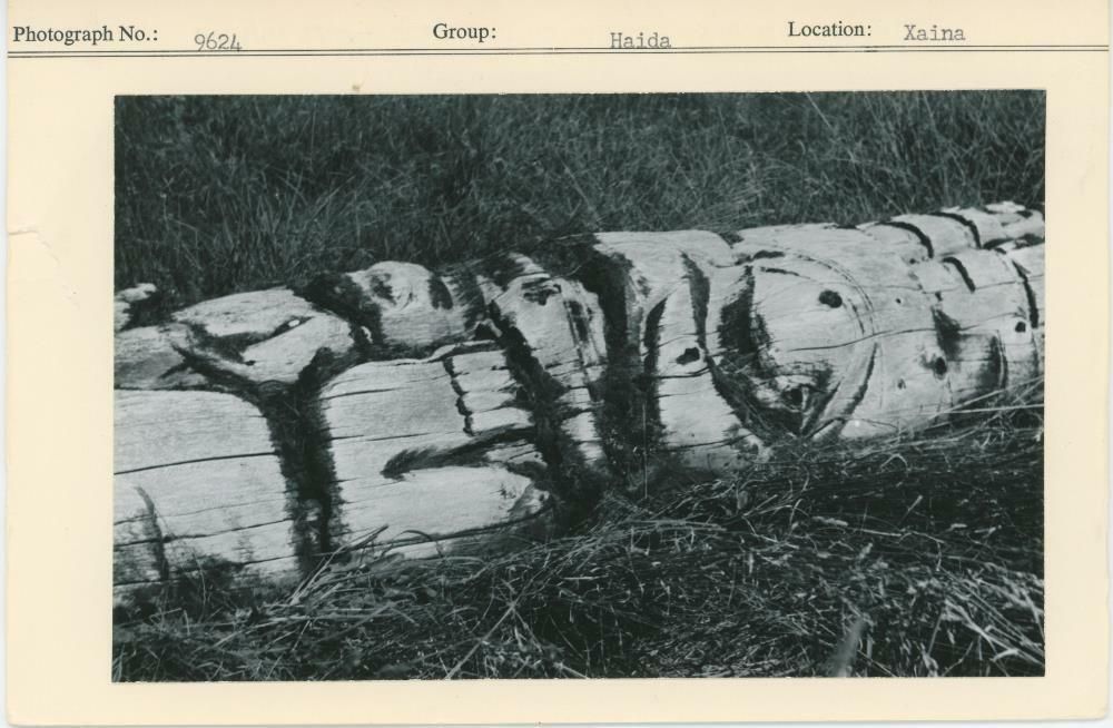 Image representing photograph.