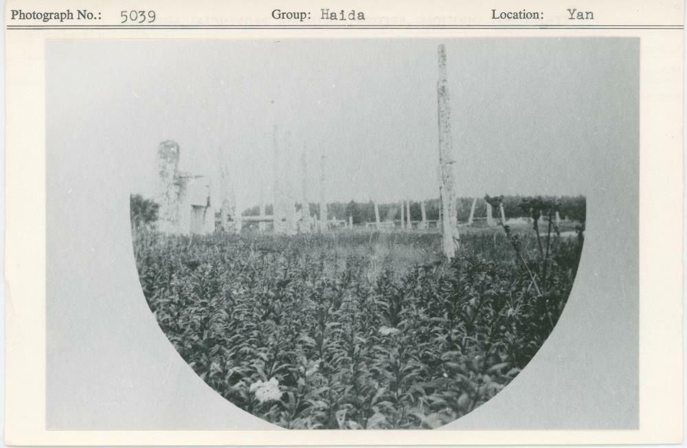 Image representing photograph.