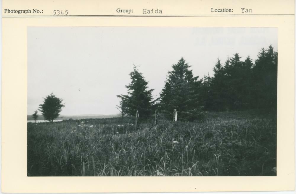Image representing photograph.