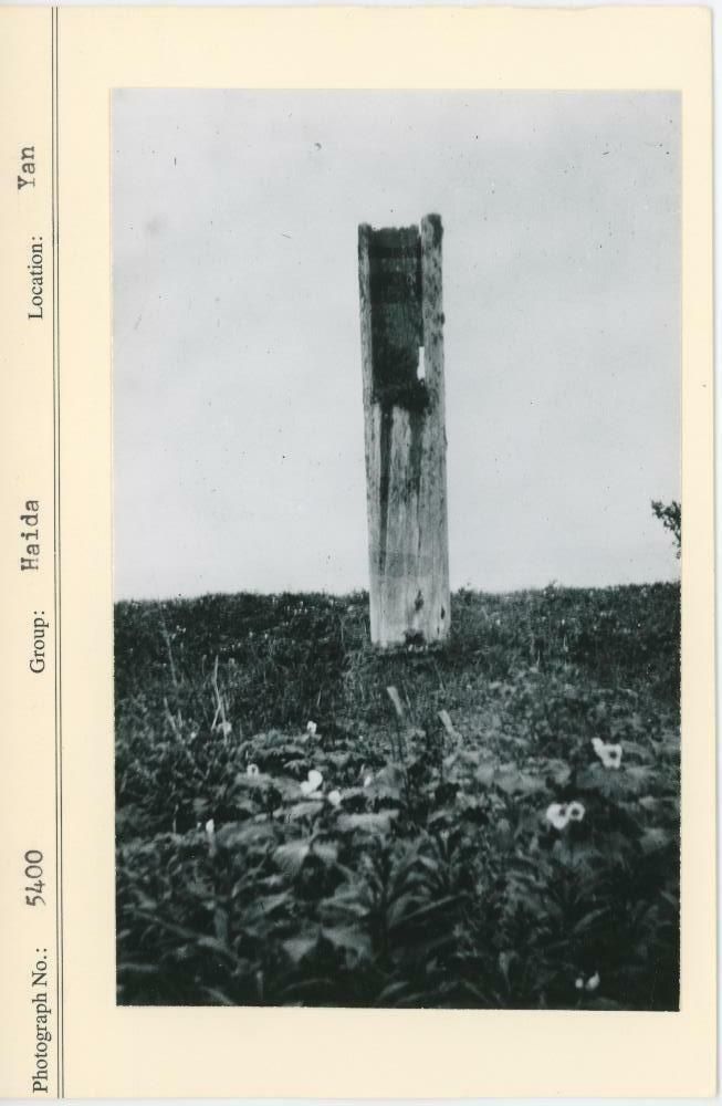 Image representing photograph.