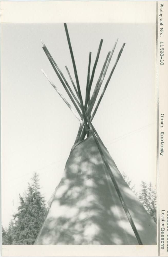 Image representing photograph.