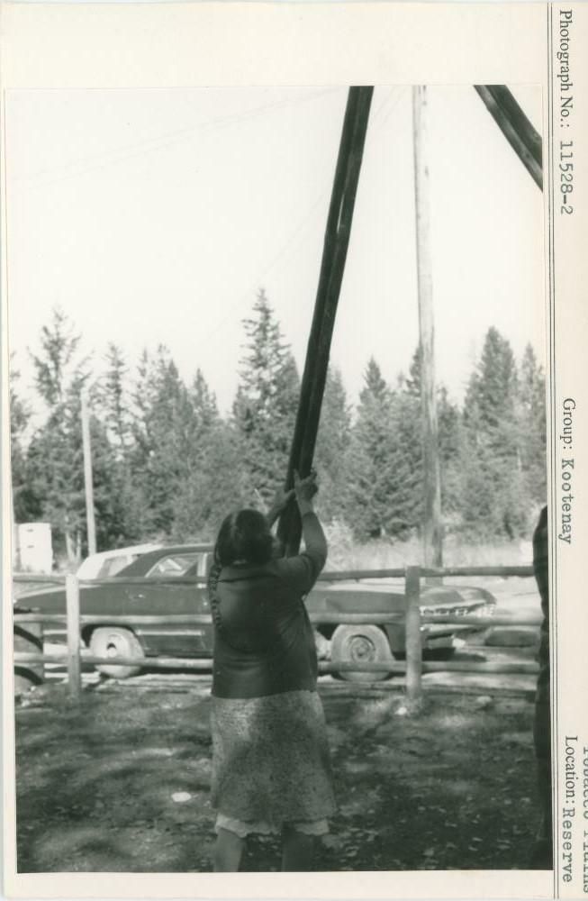 Image representing photograph.