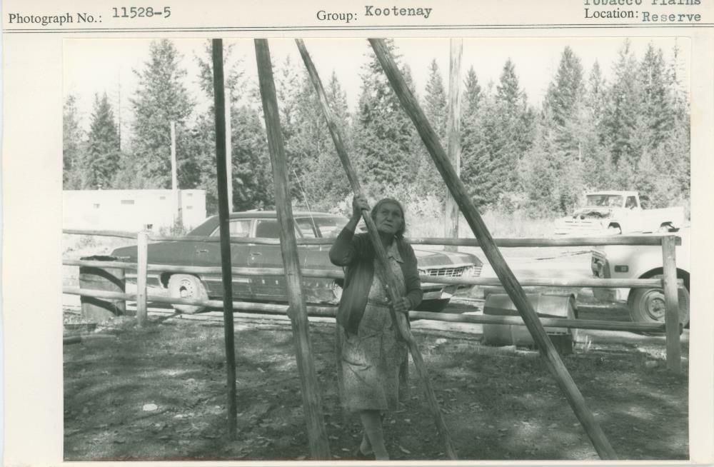 Image representing photograph.