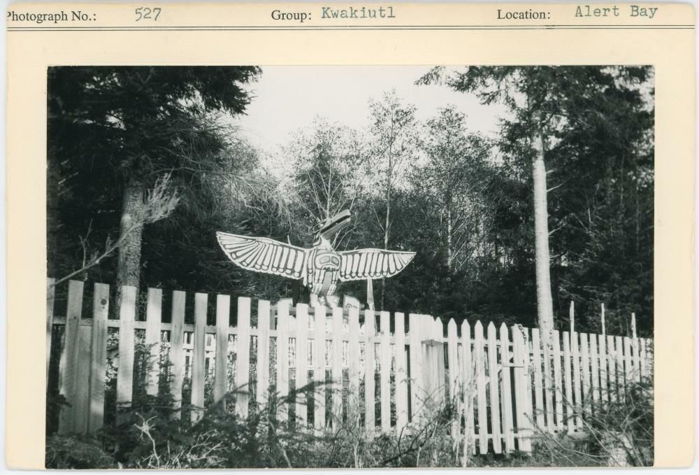 Image representing photograph.