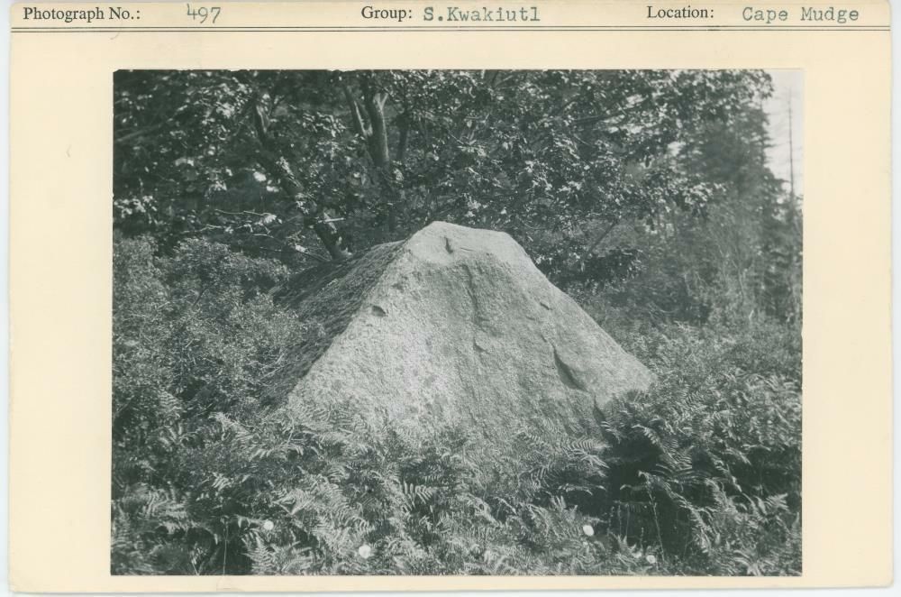Image representing photograph.
