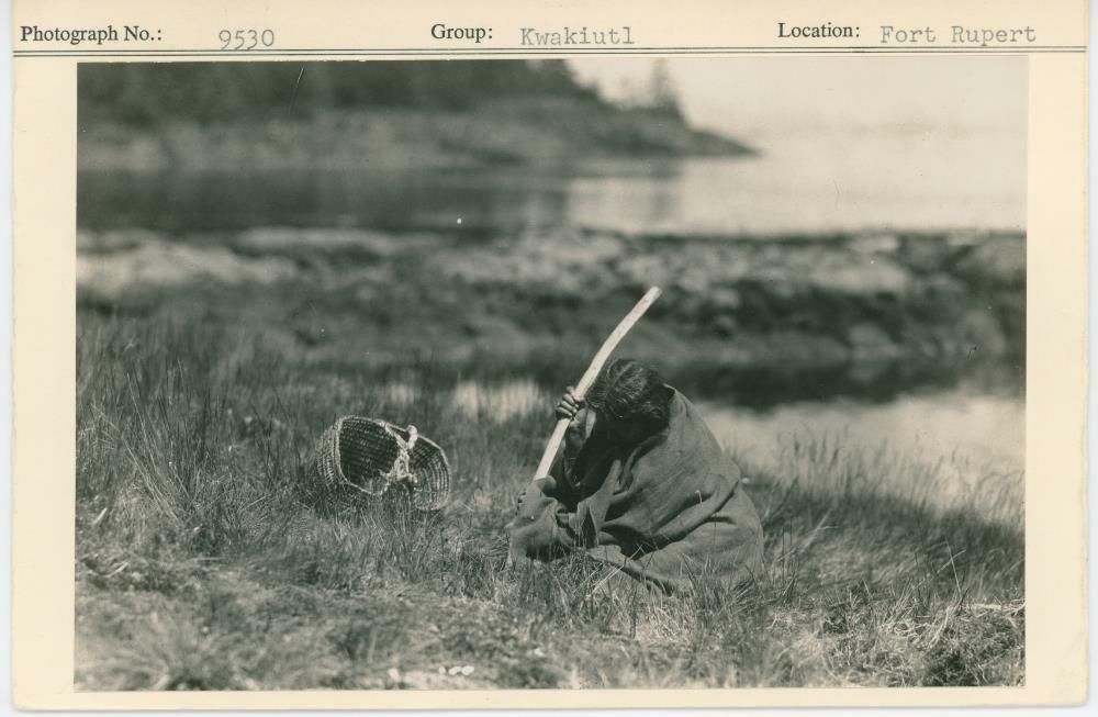 Image representing photograph.