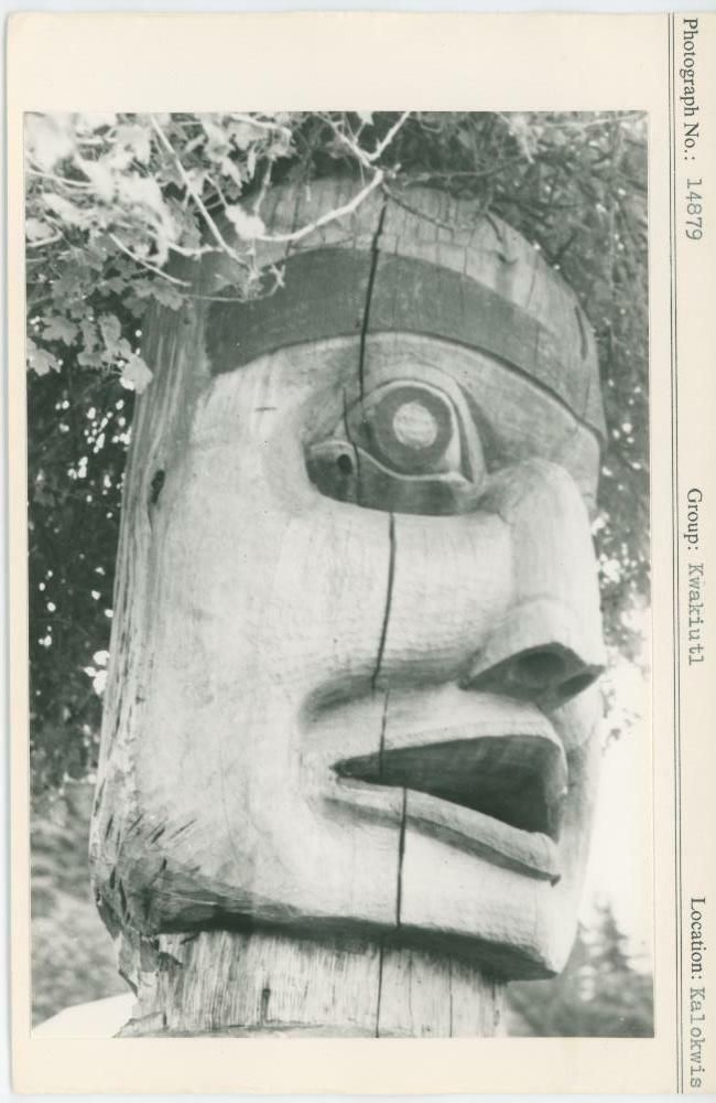 Image représentant photograph