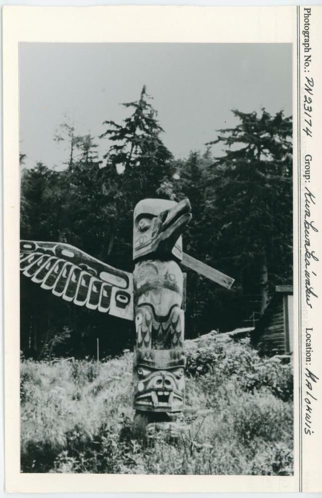 Image representing photograph.