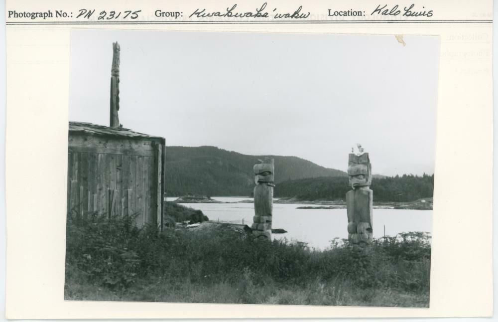 Image representing photograph.