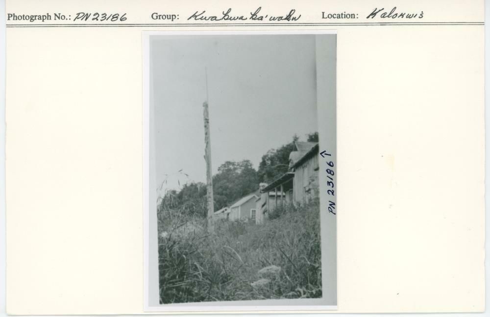 Image representing photograph.