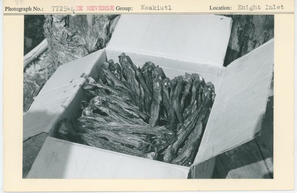 Image representing photograph.