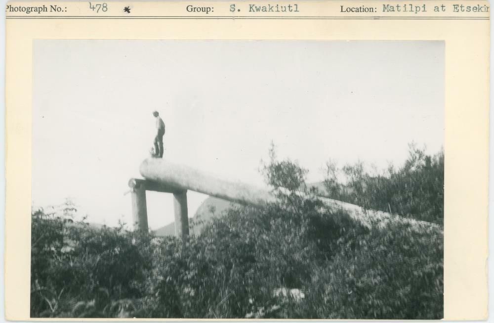 Image representing photograph.