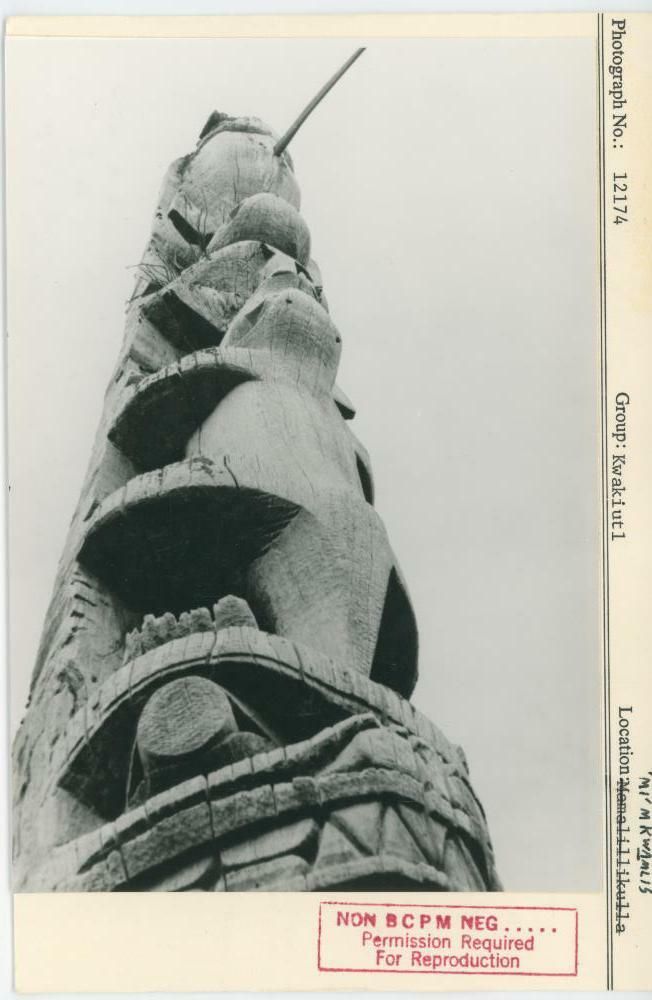 Image representing photograph.