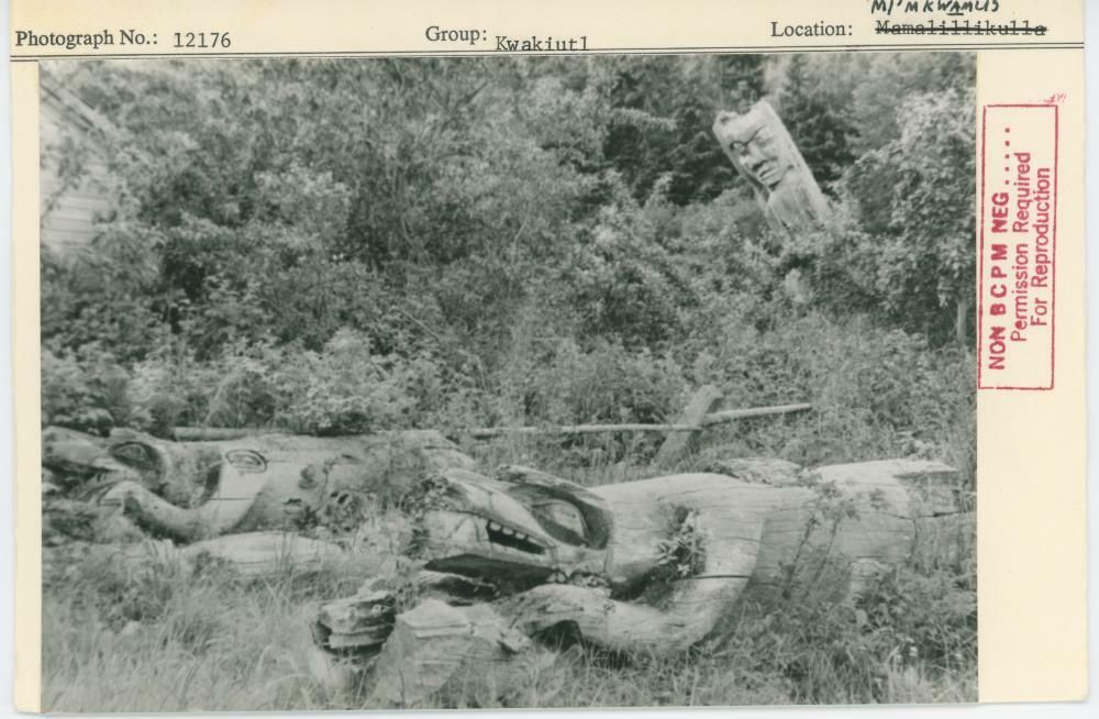 Image representing photograph.