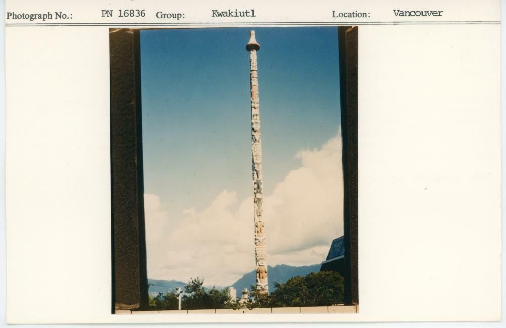 Image representing photograph.