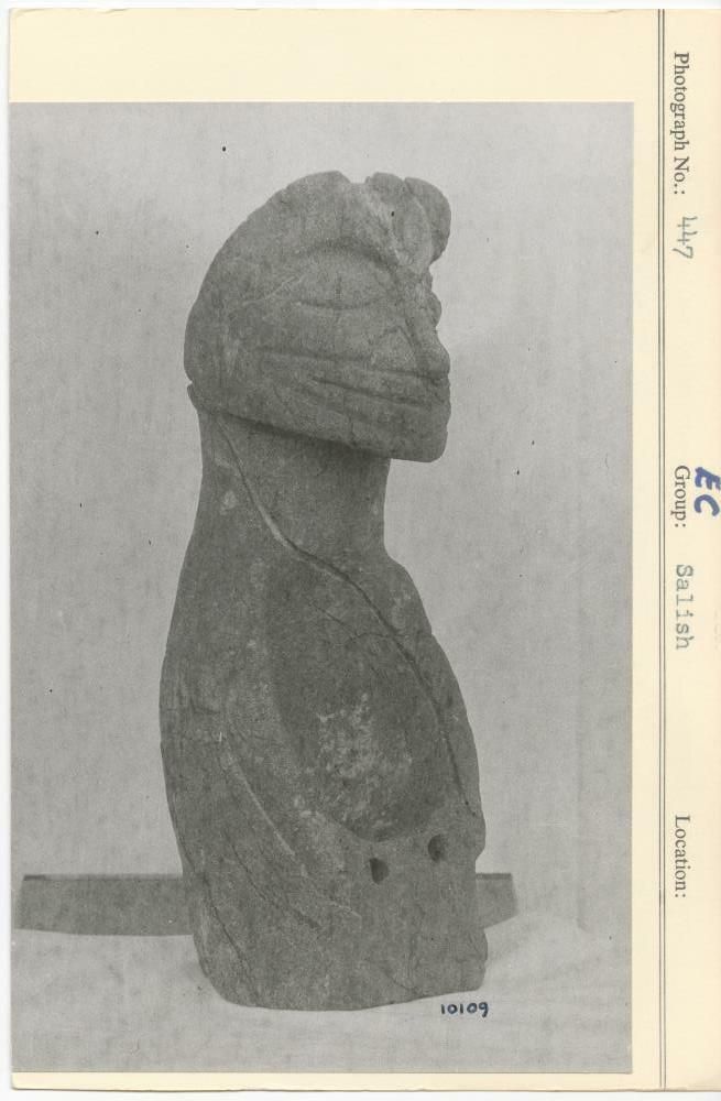 Image representing photograph.