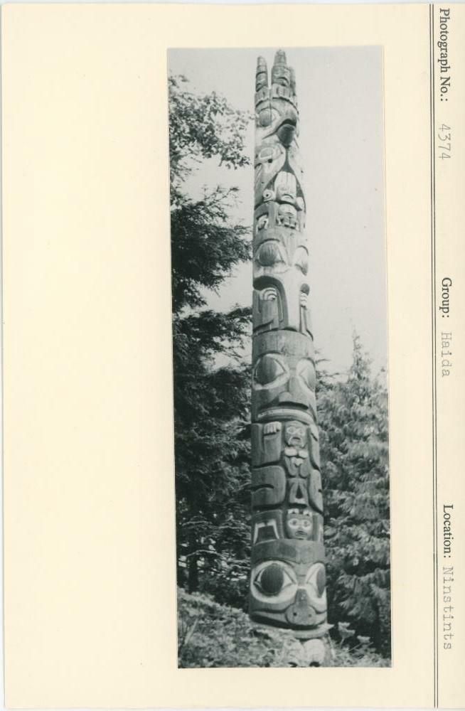 Image representing photograph.