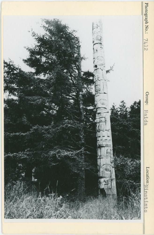 Image representing photograph.