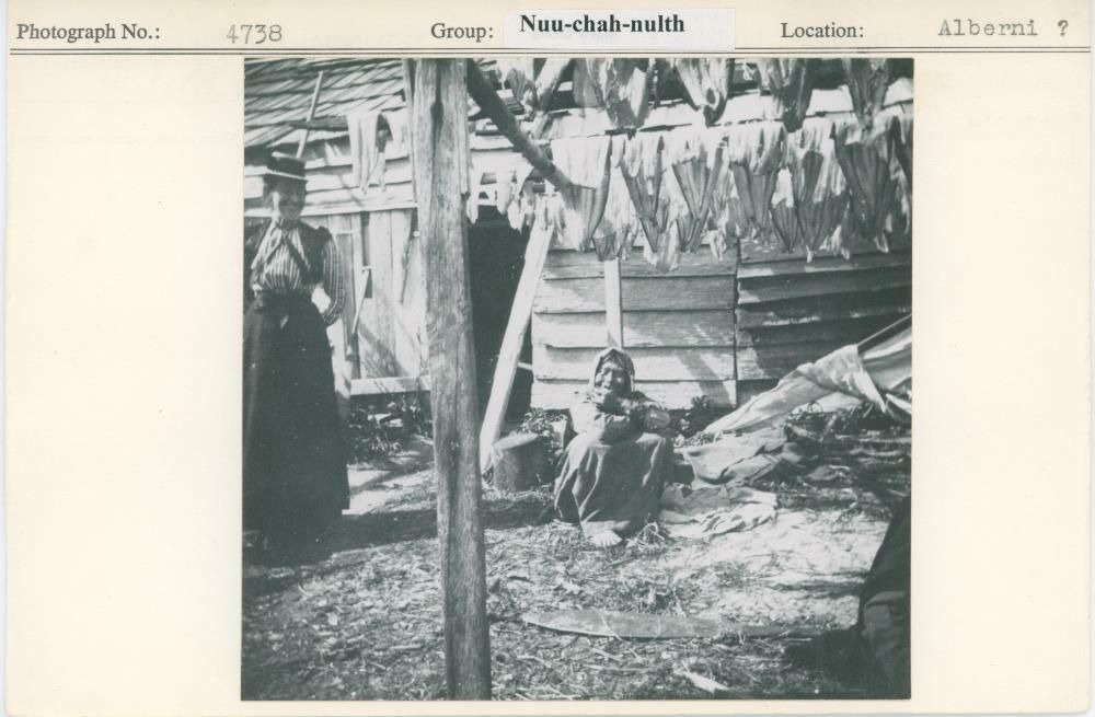 Image representing photograph.
