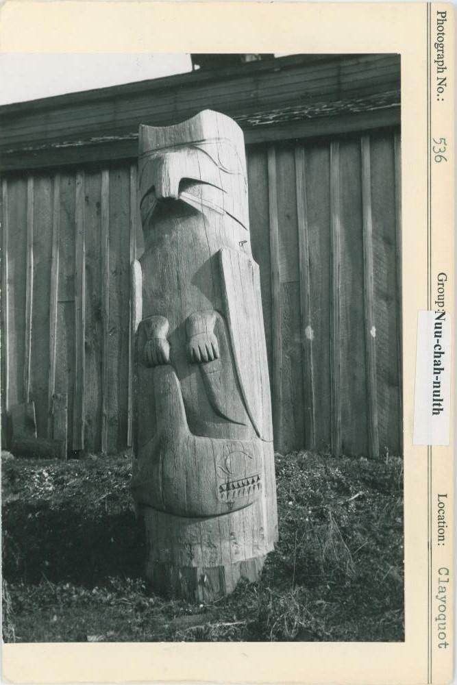 Image representing photograph.