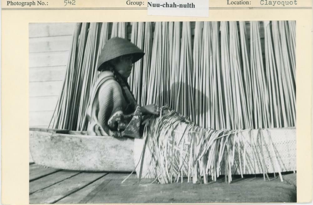 Image representing photograph.