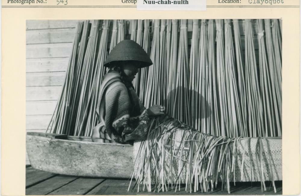 Image representing photograph.