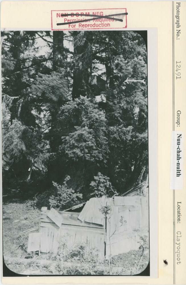 Image representing photograph.