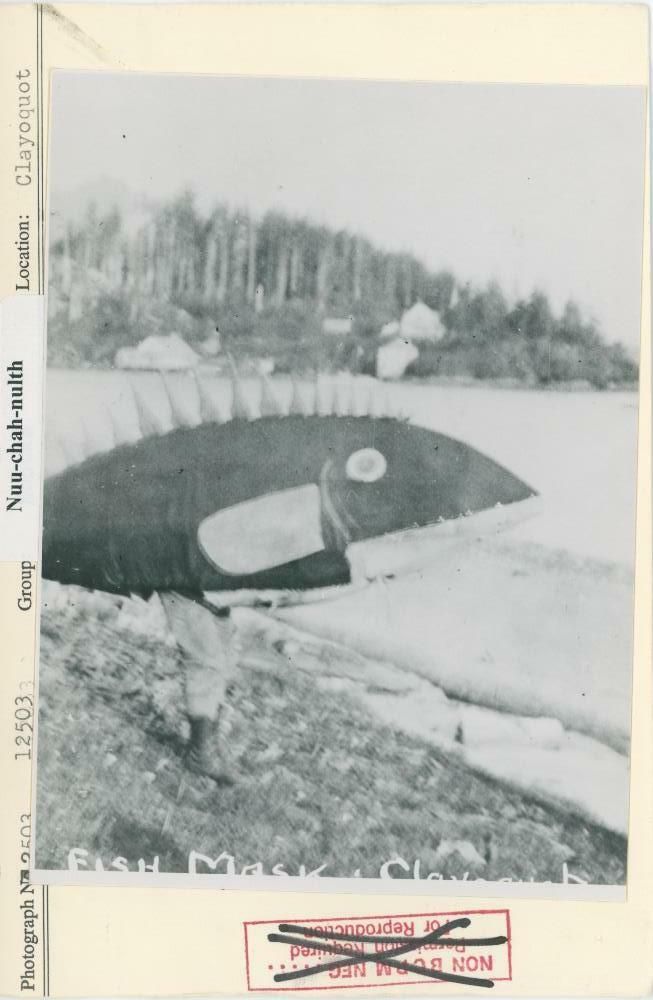 Image representing photograph.
