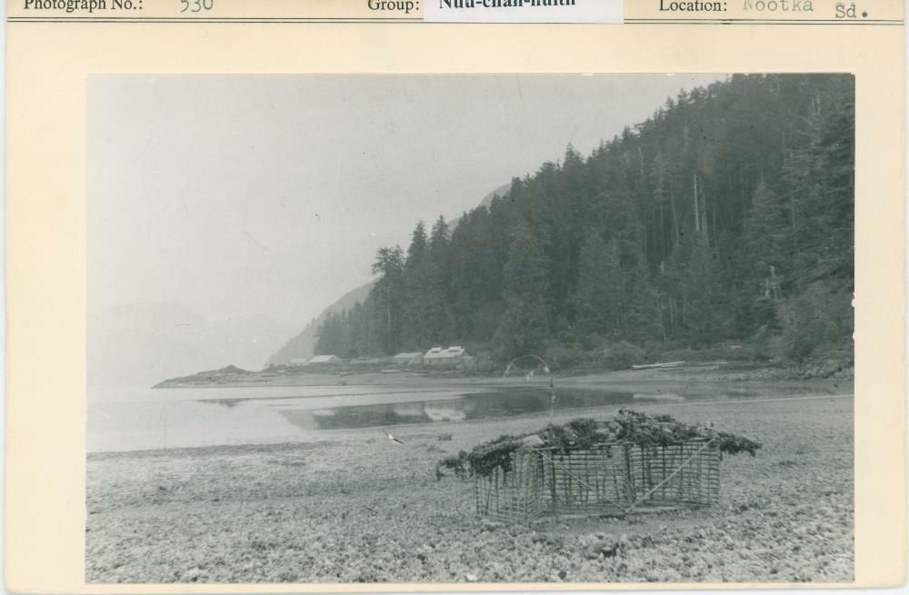 Image representing photograph.