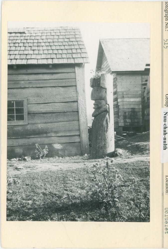 Image representing photograph.