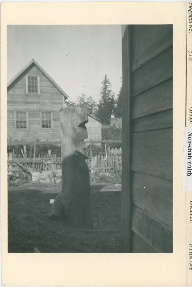 Image representing photograph.