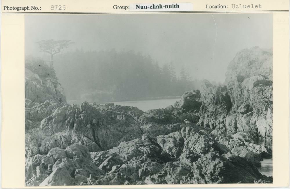 Image representing photograph.