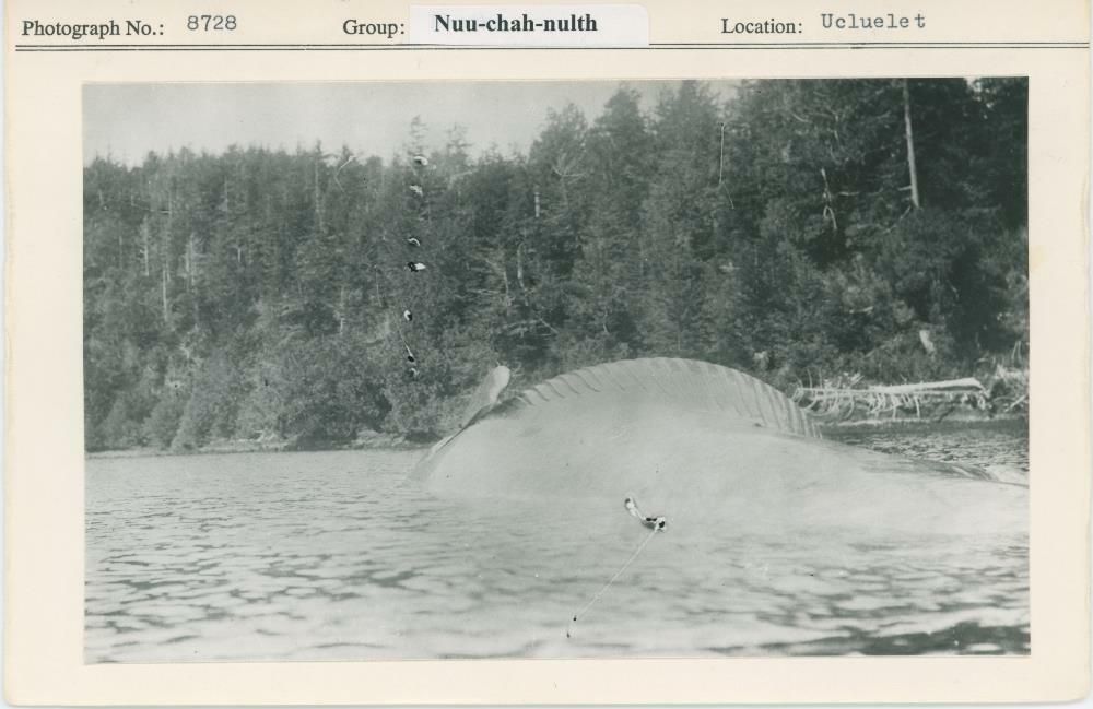 Image representing photograph.