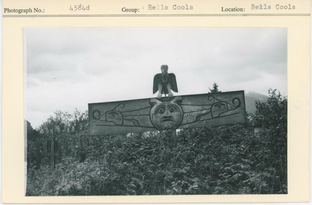Image representing photograph.