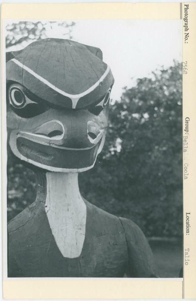 Image representing photograph.