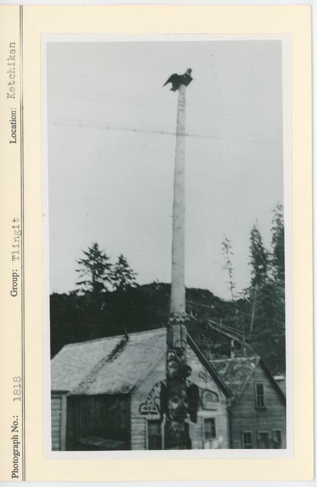 Image representing photograph.